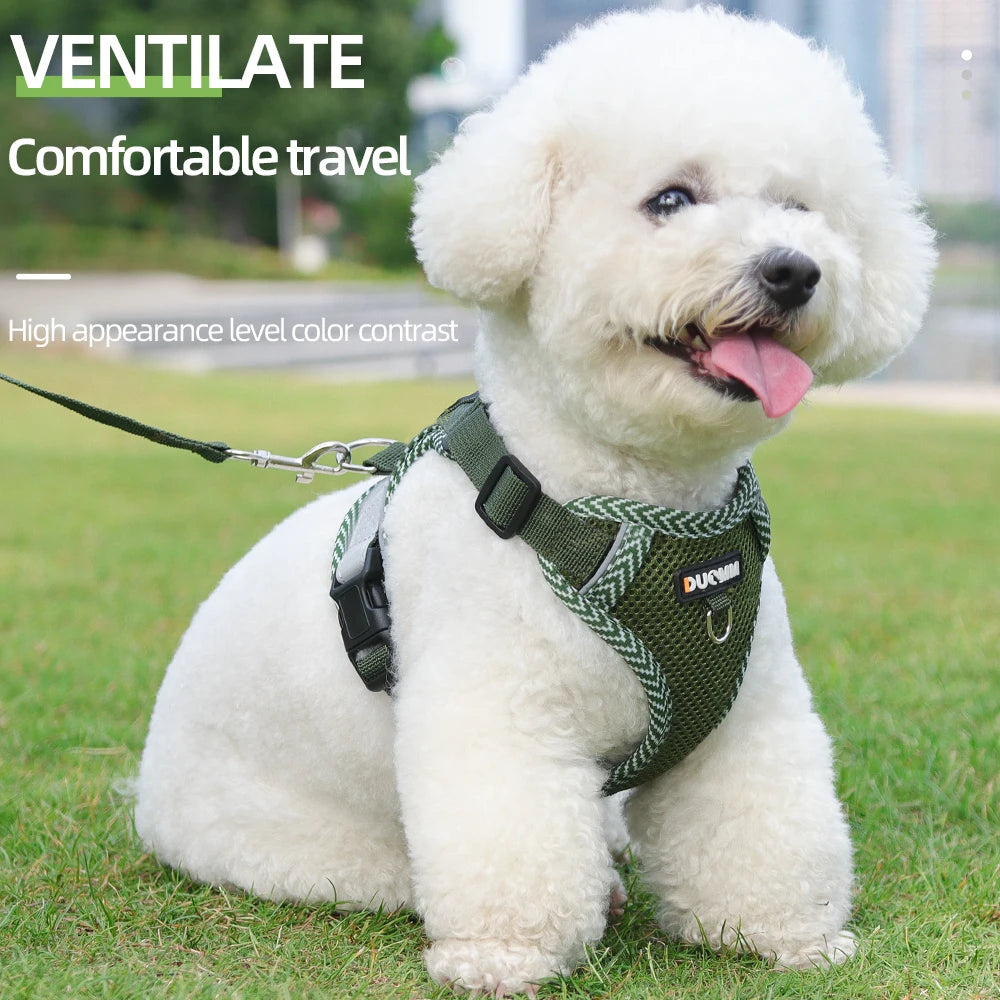 ARNÉS TRANSPIRABLE PARA GATOS Y PERROS